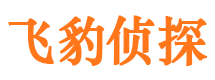 平原私家调查公司